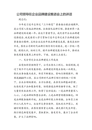 国企领导在企业品牌建设推进会上的讲话.docx