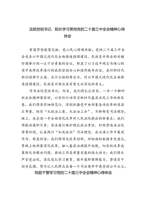 法院党组书记、院长学习贯彻党的二十届三中全会精神心得体会8篇（最新版）.docx