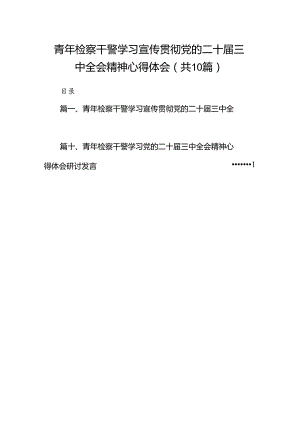 （10篇）青年检察干警学习宣传贯彻党的二十届三中全会精神心得体会范文.docx