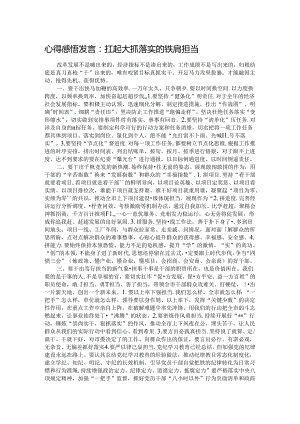 心得感悟发言：扛起大抓落实的铁肩担当.docx