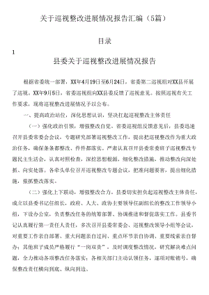 关于巡视整改进展情况报告汇编（5篇）.docx