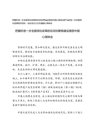 把握好进一步全面深化改革的总目标聚焦建设美丽中国心、建设社会主义文化强国得体会.docx