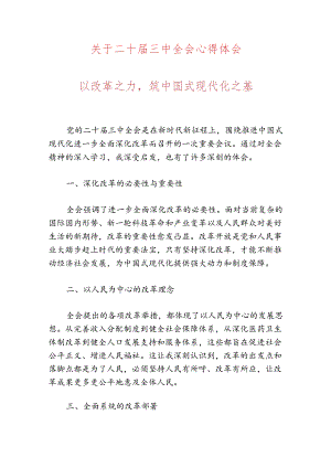 关于二十届三中全会心得体会.docx