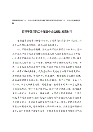 2024年9月领导干部党的二十届三中全会研讨发言材料发言稿.docx