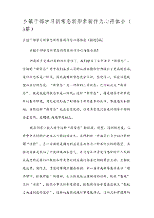 乡镇干部学习新常态新形象新作为心得体会（3篇）.docx