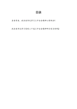 政法委书记学习二十届三中全会精神心得体会研讨发言2篇.docx