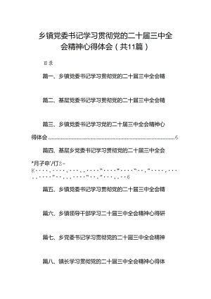 （11篇）乡镇党委书记学习贯彻党的二十届三中全会精神心得体会资料合集.docx