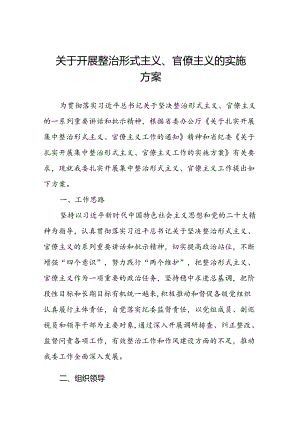 关于扎实开展集中整治形式主义、官僚主义工作的实施方案6篇.docx
