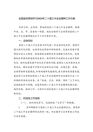 （12篇）全面宣传贯彻学习2024年二十届三中全会精神工作方案范文.docx