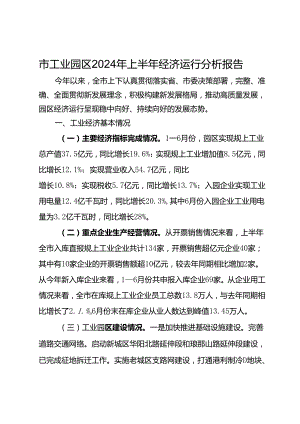 市工业园区2024年上半年经济运行分析报告.docx