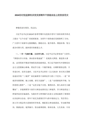 2024在纪检监察机关党支部青年干部座谈会上的发言范文.docx