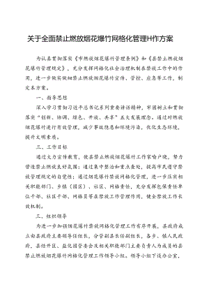 关于全面禁止燃放烟花爆竹网格化管理工作方案.docx