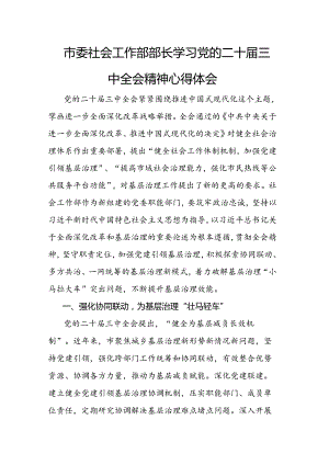 市委社会工作部部长学习党的二十届三中全会精神心得体会范文.docx