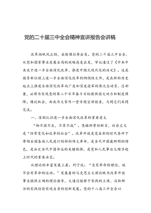 党的二十届三中全会精神宣讲报告会讲稿.docx