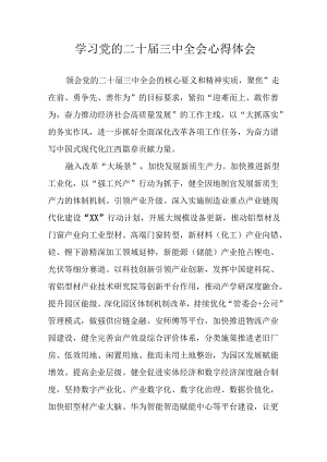 2024年学习学习党的二十届三中全会个人心得体会 汇编12份.docx