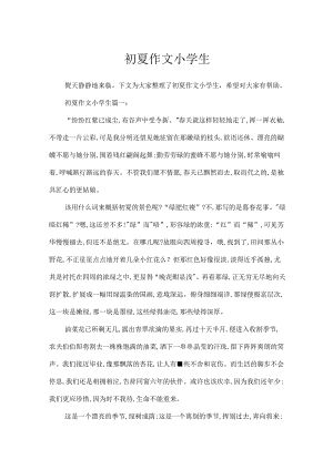初夏作文小学生.docx