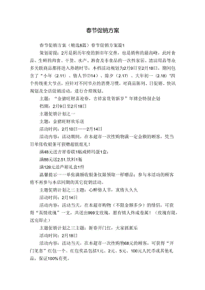 春节促销方案.docx
