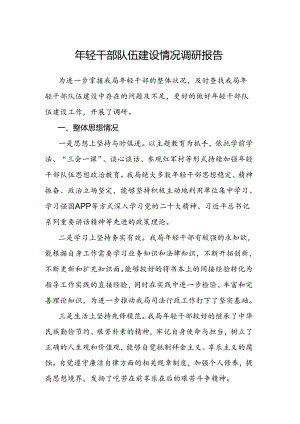 年轻干部队伍建设情况调研报告.docx