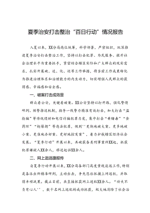 2024年夏季治安打击整治专项工作总结13篇.docx