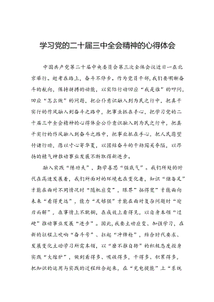 2024党员学习贯彻党的二十届三中全会精神心得体会十四篇.docx
