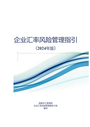 企业汇率风险管理指引(2024年版).docx