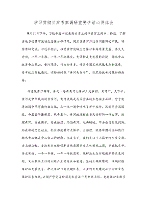 学习贯彻甘肃考察调研重要讲话心得体会.docx