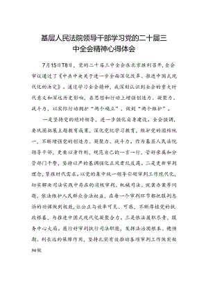 基层人民法院领导干部学习党的二十届三中全会精神心得体会.docx