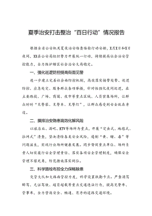 公安禁毒大队夏季治安打击整治工作总结19篇.docx