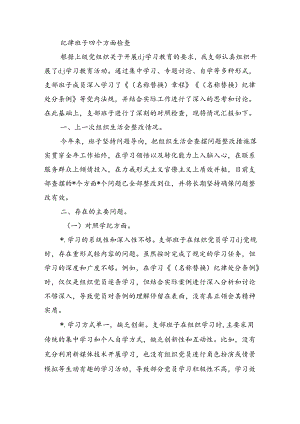 纪律班子四个方面检查.docx