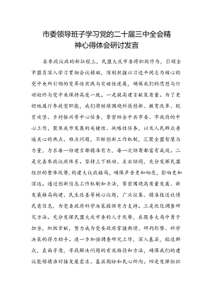 市委领导班子学习党的二十届三中全会精神心得体会研讨发言.docx