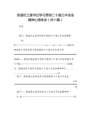 （11篇）街道纪工委书记学习贯彻二十届三中全会精神心得体会范文.docx