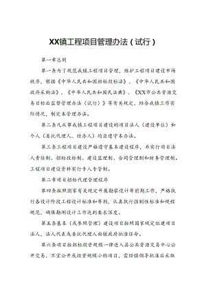 XX镇工程项目管理办法.docx