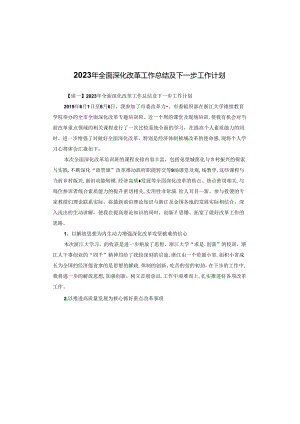 2023年全面深化改革工作总结及下一步工作计划.docx