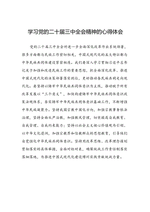 2024年党的二十届三中全会精神学习体会范本39篇.docx