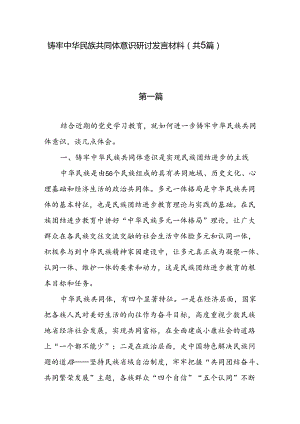 铸牢中华民族共同体意识研讨发言材料（共5篇）.docx