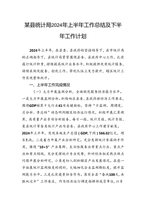 某县统计局2024年上半年工作总结及下半年工作计划.docx