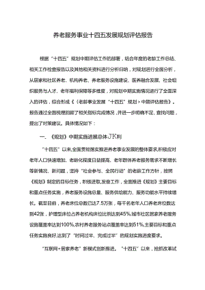 养老服务事业十四五发展规划评估报告.docx