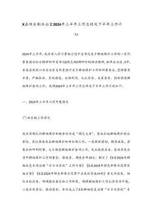 X县田长制办公室2024年上半年工作总结及下半年工作计划.docx
