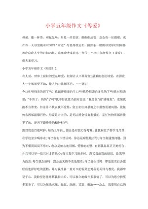 小学五年级作文《母爱》.docx