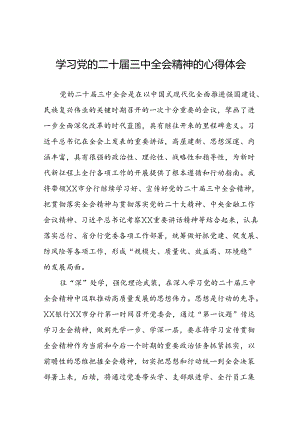 2024年党的二十届三中全会精神学习体会研讨发言材料十四篇.docx