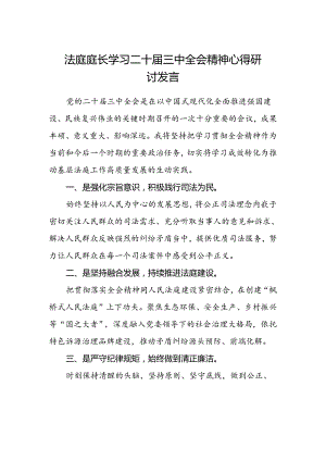 法庭庭长学习二十届三中全会精神心得研讨发言.docx