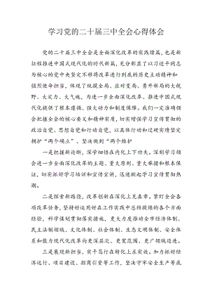 2024年学习学习党的二十届三中全会个人心得感悟 （合计6份）.docx