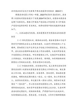 共青团县委员会关于巡察集中整改进展情况的报告（8004字）.docx