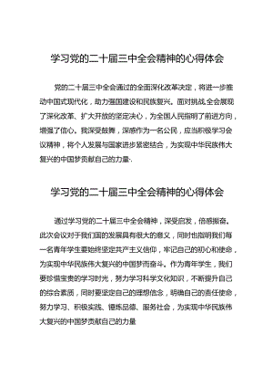 学习贯彻党的二十届三中全会精神的心得体会交流发言33篇.docx