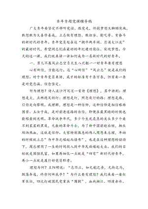 青年专题党课辅导稿.docx