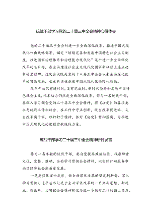 （9篇）统战干部学习党的二十届三中全会精神心得体会（详细版）.docx