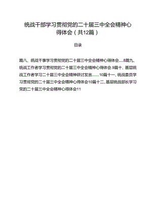 统战干部学习贯彻党的二十届三中全会精神心得体会12篇（最新版）.docx