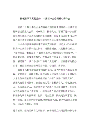 副镇长学习贯彻党的二十届三中全会精神心得体会5篇（详细版）.docx