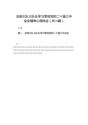 （10篇）法制大队大队长学习贯彻党的二十届三中全会精神心得体会专题资料.docx