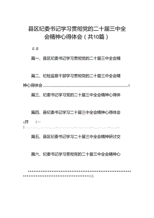 （10篇）县区纪委书记学习贯彻党的二十届三中全会精神心得体会范文.docx